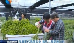 盐城吃瓜最新事件爆料新闻,最新吃瓜事件，真相揭秘！